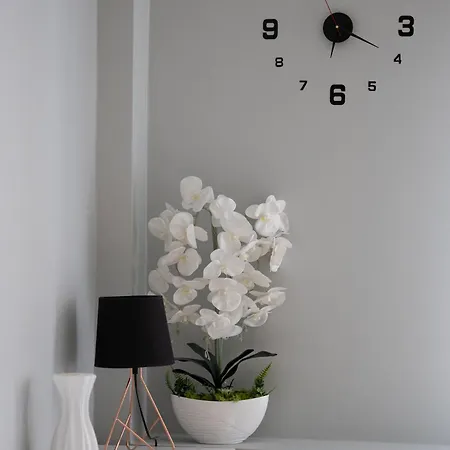 Libelta Quiet Charm By Bookinghost Poznaň