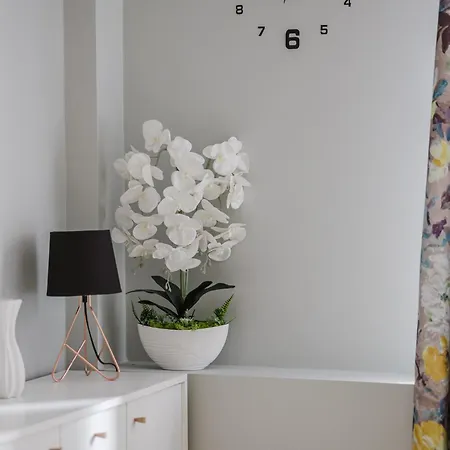 Libelta Quiet Charm By Bookinghost *